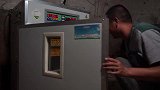 小鸡在密封的蛋壳中，如何破壳而出的？出来后的小鸡太可爱了