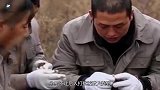 河南发现曹操墓葬，墓内出土神兵利器？专家：失传千年！