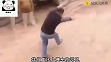 爆笑：扭矩不详，遇强则强！