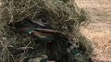 兵哥哥训练两岁女儿，这么严肃的场景，兵哥哥都气炸了