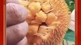印度的菠萝蜜这样的，开挂民族的水果，都开挂了