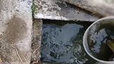 孩子这是哭傻了虽然但是我笑出腹肌了哈哈哈
