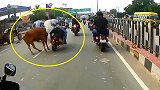 一群小伙在街头“飙车”，不料冒出一头黄牛，这下撞得真疼！