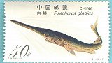 “中国淡水鱼之王”长江白鲟宣告灭绝 未跨入2020年