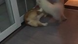 谁厉害！厉害嘛