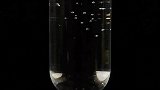 绿色是希望与生机