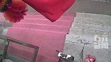 店家猫咪帮邻居看包裹  网友：这是一只保安喵