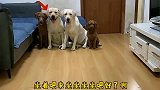 老四和小迷糊“一唱一和”，合伙坑姥爷，不愧是父子俩！