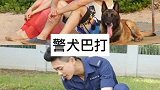超经典TVB剧，你看过几部？