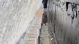 瀑布下面捡鱼，涨见识了