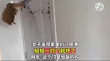 女子发现家里的门很薄