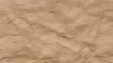 当一群猫猫，聚在暖气扇前取暖