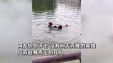 男子意外落水后抱头漂浮求生，孩子嘶声哭喊“救救我爸爸”，下秒泪目了