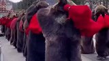 俄罗斯过节请熊表演，网友：不愧是战斗民族