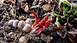 男子发现土坡有异常，穿上防护服就开挖