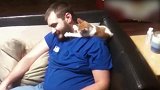主人带着面具接近小猫，竟然被小猫直接打了巴掌，好笑！