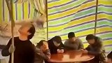 这是真流水席，猝不及防一身清凉