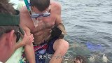 男子在沙滩漫步，脚底却传来一阵刺痛，镜头放慢50倍发现真凶！