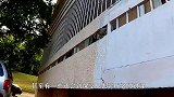 学校有只上课的流浪猫，老师一讲课它就打瞌睡，镜头记录全程
