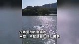 大爷拄双拐颤颤巍巍去游泳，网友为其捏把汗，入水瞬间却惊呆众人