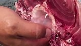 金枪鱼骨髓，满满的胶原蛋白