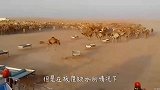 骆驼的驼峰里装的是水？老外切开驼峰查看，原来被骗了这么多年