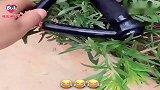 主人测试哪些物品可栓哈士奇，二哈：路边的小草你松开我！太逗了