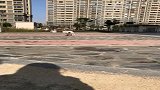 看狗狗奔跑过来的画面，实在是太温馨了