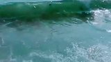 走在初秋的海岸边，倾听着海风絮语，
