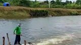 这位大哥绝对是个高手，单单用抄网把鱼给接住了