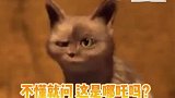 上一次看到这么玩的还是哪吒