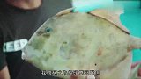 说到吃鱼，恐怕没人比渔夫更会！烤鱼鱼生每一道都好好吃！