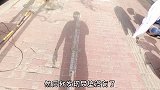 猫咪生宝宝，准备好这些就够了！