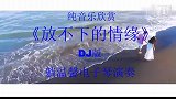 电子琴《放不下的情缘》DJ版 也是非常好听的曲子