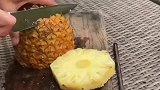 气死啦！菠萝酸面团，被一群蚂蚱偷吃了