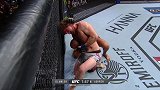 UFC235：次中量级 劳勒VS阿斯克伦