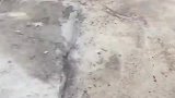 小奶狗：昨晚喝了个通宵，有点飘了！