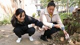 老鼠偷吃粮食成瘾，母亲气得要端老鼠窝，扒开鼠洞又气又喜