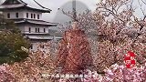 日本天皇首次访华，看见国宴上一道菜，尴尬问道：能撤掉吗