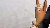 地方看上去不咋样，还真有不少好东西