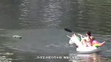 主人给狗狗穿了这件套装，出门恶搞，吓得路人连滚带爬