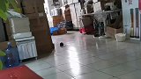 这俩货，太不把你当人了