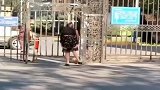 美女为了少走些路这操作，真的是接地气啊！