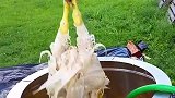 把一只鸡脱毛只需要30秒，这是什么原理？