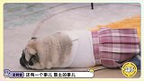 《毛雪汪》垃圾桶孟哥还是对我下手了李雪琴那你就搁垃圾桶种菜吧