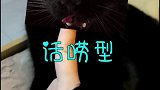 萌猫日常-20200914-可怕的黑猫