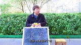 老公不给媳妇买橘子，让媳妇闻橘子皮，太抠门了