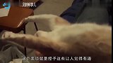 猫到底是固体还是液体诺贝尔奖得主的证明,确实如此