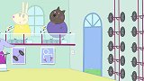 小猪佩奇：大家来上体育课，佩德罗没穿运动服，原来是他误会了
