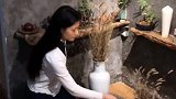 从家里带来的狗尾巴草